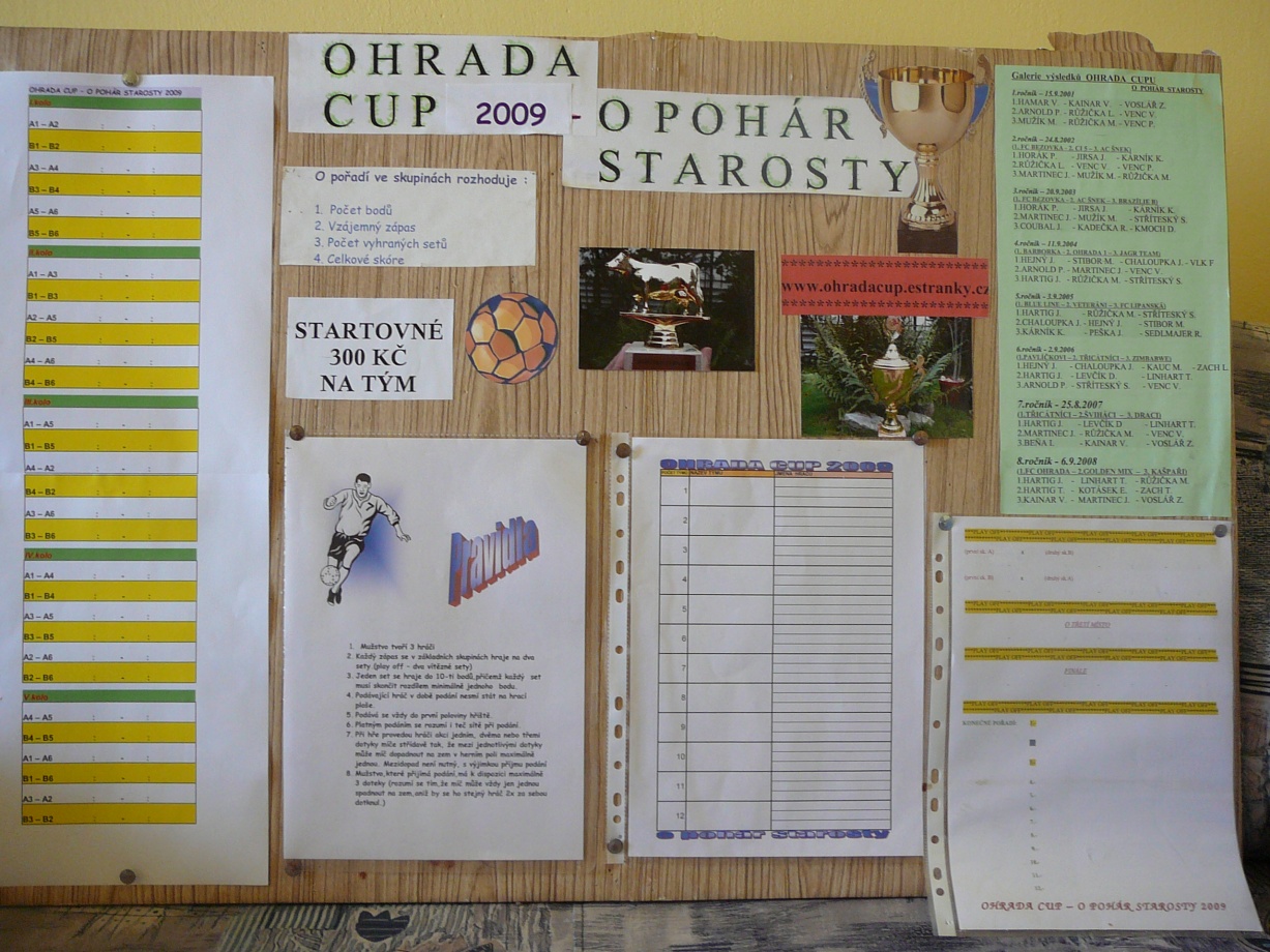 Ohrada cup.jpg
